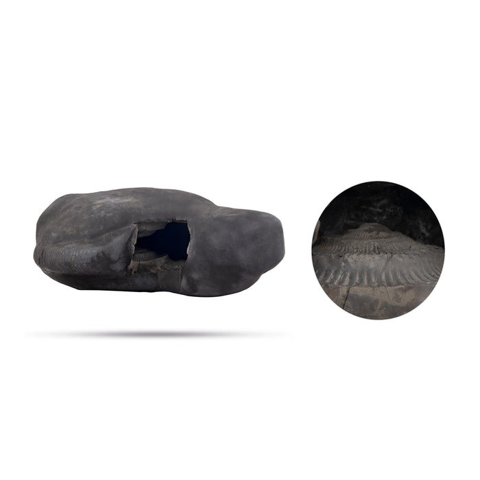 Achutam Madhavam Laxmi Narayana Shaligram Murti | Vishnu Shaligram Shila | Narsimha Shaligram