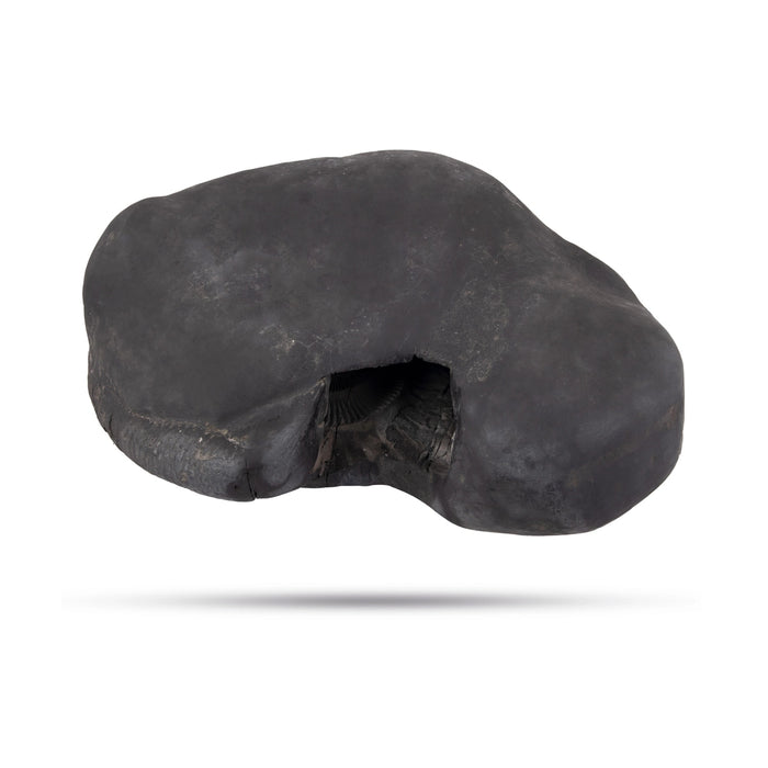 Achutam Madhavam Laxmi Narayana Shaligram Murti | Narsimha Shaligram | Shaligram Shila 