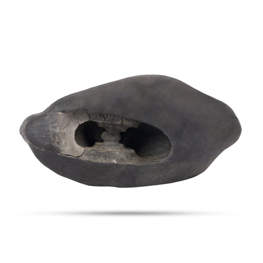 Exotic Matsya Maha Laxmi Narayana Hayagriva Shaligram Murti | Matsya Shaligram | Laxmi Narayan Shaligram