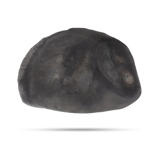Exotic Matsya Maha Laxmi Narayana Hayagriva Shaligram Murti | Lord Vishnu Shaligram | Maha Vishnu Shaligram