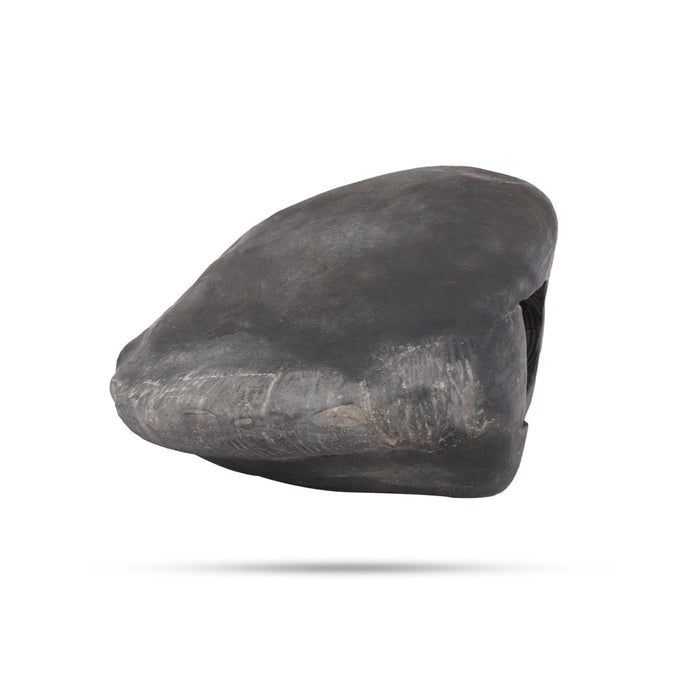 Exotic Matsya Maha Laxmi Narayana Hayagriva Shaligram Murti | Vishnu Shaligram Stone Price | Laxmi Narayan Shaligram