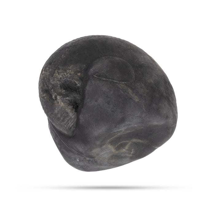 Durlabh Garud Lakshmi Narayan Shaligram Murti | Lord Shaligram | Shaligram Ki Puja