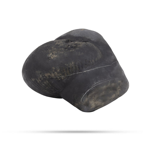 Durlabh Garud Lakshmi Narayan Shaligram Murti | Vishnu Shaligram Stone | Original Shaligram Online
