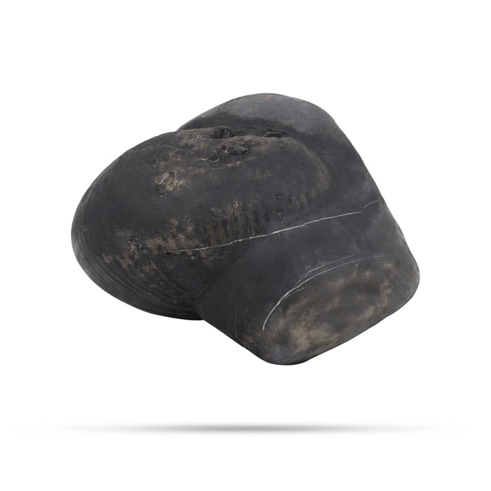 Durlabh Garud Lakshmi Narayan Shaligram Murti | Vishnu Shaligram Stone | Original Shaligram Online