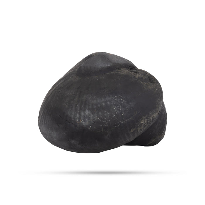 Durlabh Garud Lakshmi Narayan Shaligram Murti | Lakshmi Narayan Ka Murti | Lakshmi Narayan Shaligram Shila