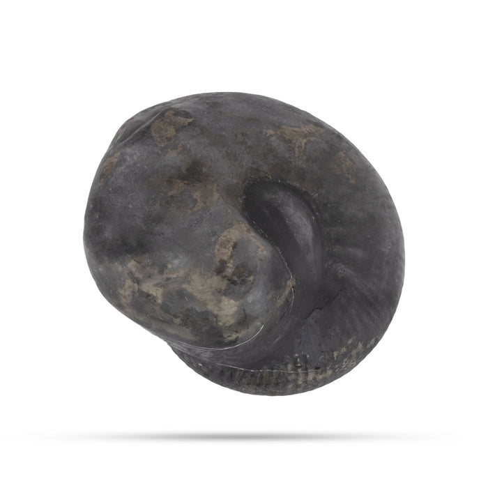 Durlabh Garud Lakshmi Narayan Shaligram Murti | Lakshmi Narayana Idol | Laxmi Narayan Ki Murti