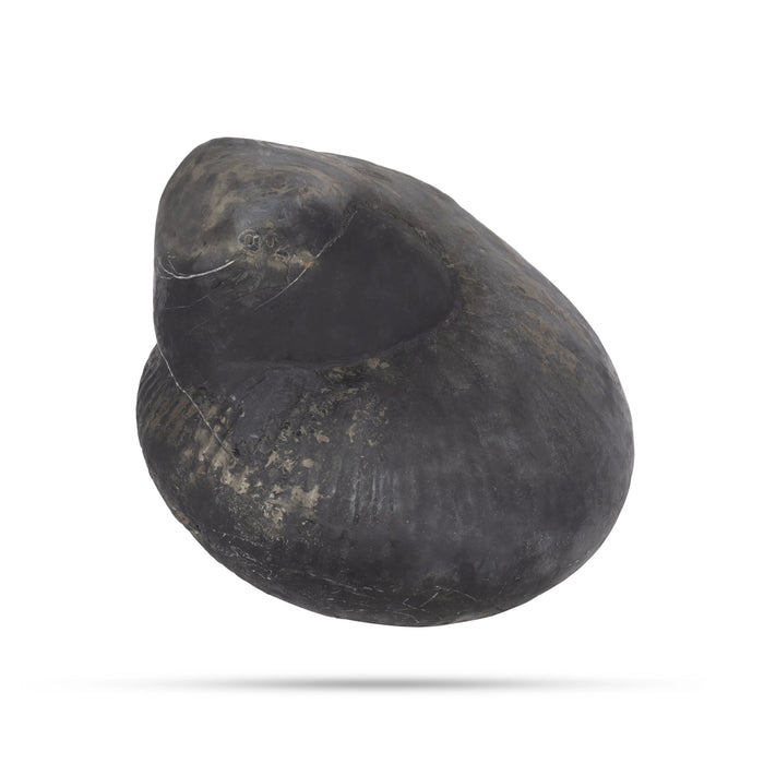 Durlabh Garud Lakshmi Narayan Shaligram Murti | Laxmi Narayan Shaligram | Lord Vishnu Shaligram