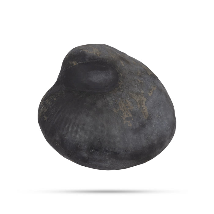 Durlabh Garud Lakshmi Narayan Shaligram Murti | Maha Vishnu Shaligram | Vishnu Shaligram