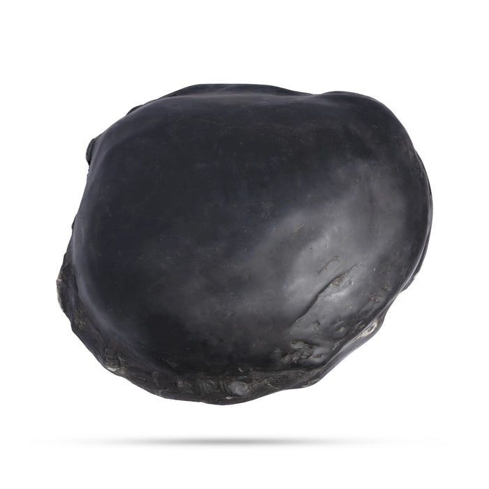 Swarn Laxmi Varaha Janardhan Durlabh Shaligram Murti | Vishnu Shaligram | Original Shaligram Online