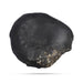 Swarn Laxmi Varaha Janardhan Durlabh Shaligram Murti | Vishnu Shaligram Stone | Buy Original Shaligram Online