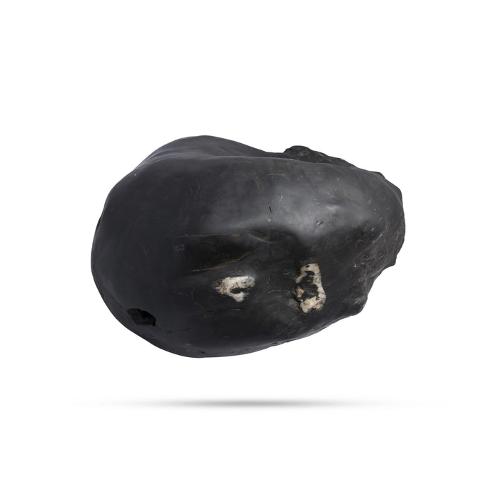 Swarn Laxmi Varaha Janardhan Durlabh Shaligram Murti | Maha Vishnu Shaligram | Shaligram Vishnu