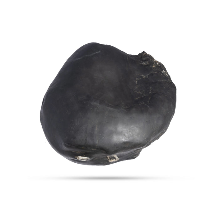 Swarn Laxmi Varaha Janardhan Durlabh Shaligram Murti | Vishnu Shaligram Stone Price | vishnu shaligram 