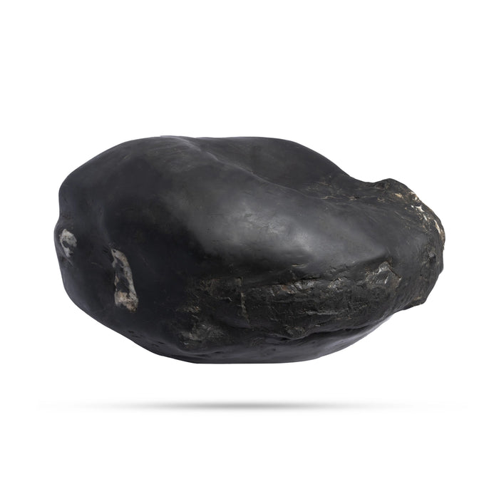 Swarn Laxmi Varaha Janardhan Durlabh Shaligram Murti | Vishnu Shaligram Price | Vishnu Shaligram Stone