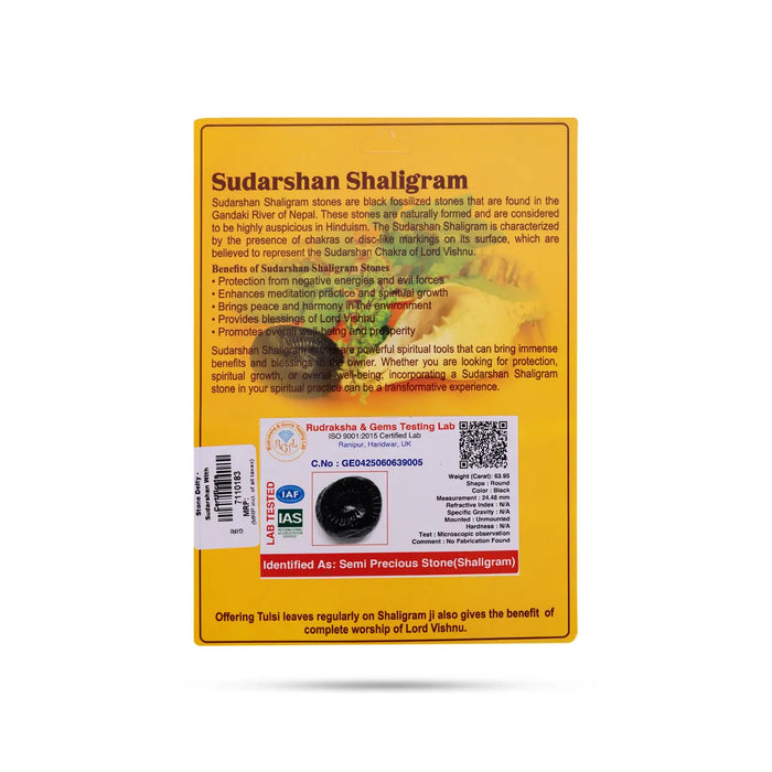 Sudarshan Shaligram Murti | Saligram Murti/ Salagrama Stone For Divine Protection And Positive Energy - Saligrama Stones & Murties