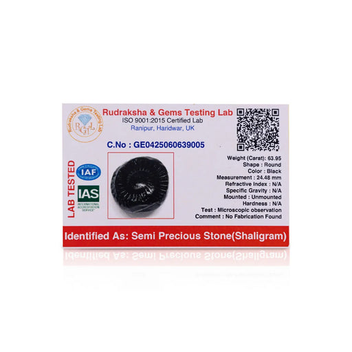 Sudarshan Shaligram Murti | Saligram Murti/ Salagrama Stone For Divine Protection And Positive Energy - Saligrama Stones & Murties