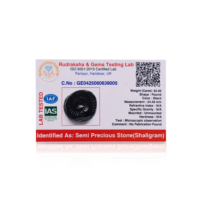 Sudarshan Shaligram Murti | Saligram Murti/ Salagrama Stone For Divine Protection And Positive Energy - Saligrama Stones & Murties