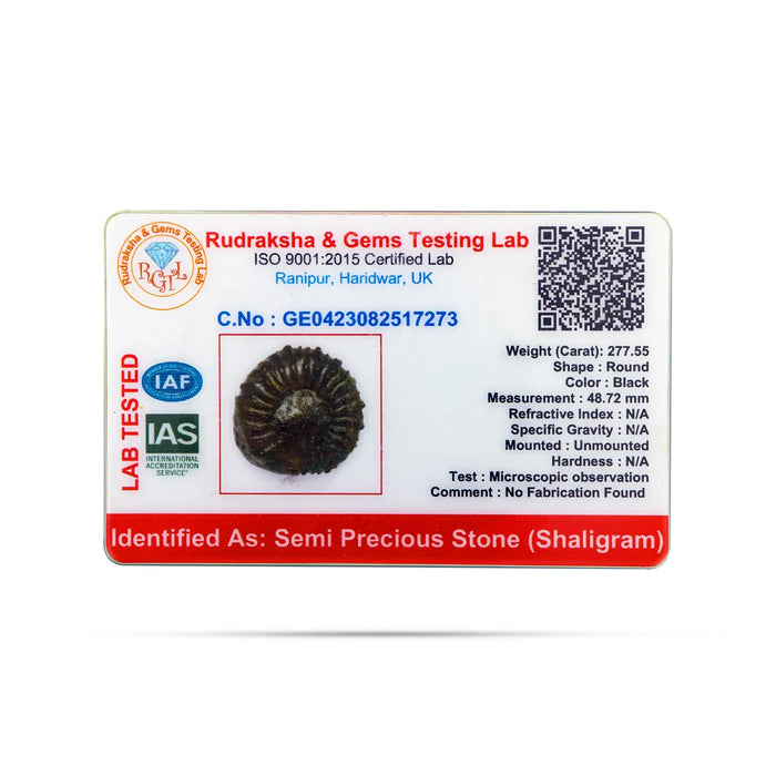 Shaligram Murti - 48.72 mm | Black Round Saligram Murti/ Shaligram Stone For Divine Protection And Positive Energy - Sphatik & Semi Precious Stone Murties