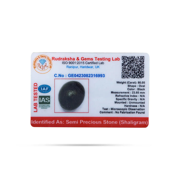 Shaligram Murti - 23.85 mm | Black Oval Saligram Murti/ Shaligram Stone For Divine Protection And Positive Energy - Sphatik & Semi Precious Stone Murties
