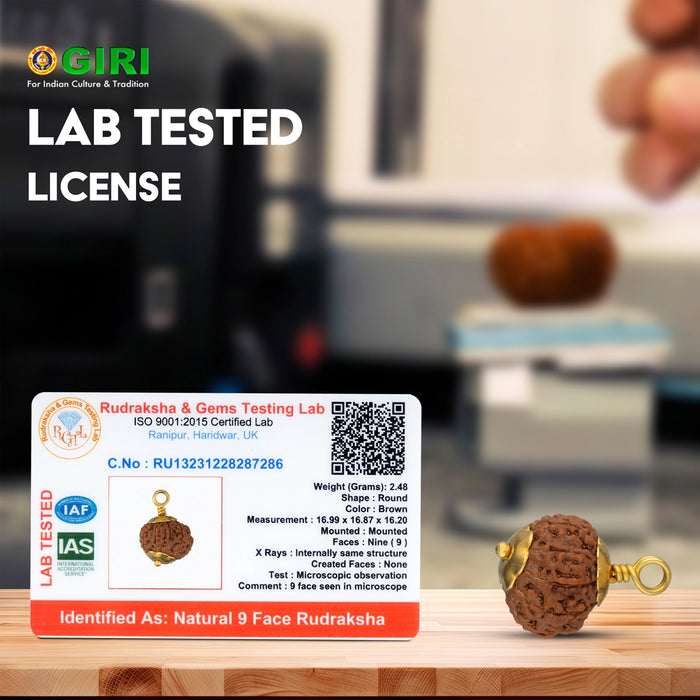 9 Mukhi Rudraksha Bead Pendant | 9 Mugam Bead With Golden Cup/ Java 9 Face Rudraksh Bead Locket for Men & Women - Rudraksha Mala, Pendant, Bracelet