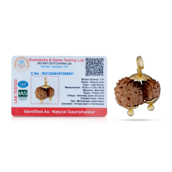 Gowri Shankar Rudraksha Pendant - 7 x 5 Inches | Gold Cup Rudraksha Pendant/ Java Rudraksh Locket for Men & Women - Rudraksha Mala, Pendant, Bracelet