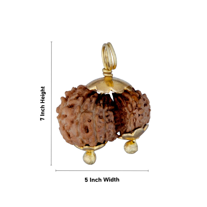 Gowri Shankar Rudraksha Pendant - 7 x 5 Inches | Gold Cup Rudraksha Pendant/ Java Rudraksh Locket for Men & Women - Rudraksha Mala, Pendant, Bracelet