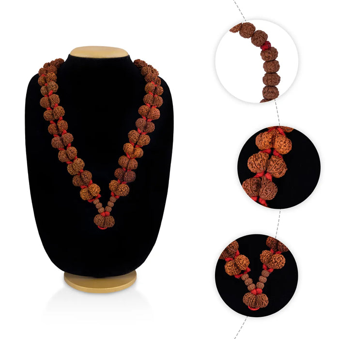 Gaurishankar Rudraksha Khanta Mala -21 Inch | Thread Knot / 37 Beads/ Rudraksh Bead Mala for Men & Women - Rudraksha Mala, Pendant, Bracelet