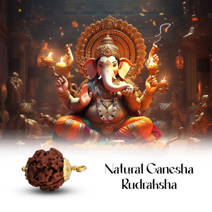 Ganesh Rudraksha Pendant with Golden Cup | Nepali Rudraksha Bead Pendant/ Rudraksh Locket for Men & Women