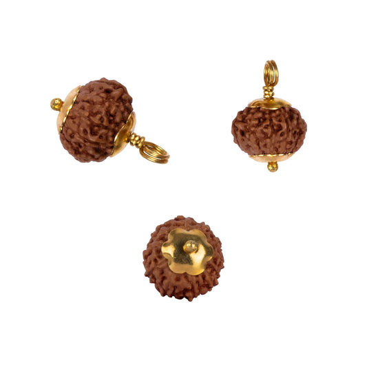 10 Face Rudraksha Pendant | Gold Cup Rudraksha Pendant/ Java Rudraksh Locket for Men & Women - Rudraksha Mala, Pendant, Bracelet