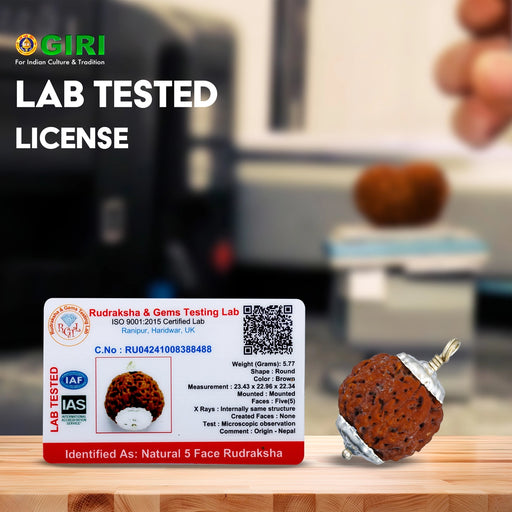 5 Face Rudraksha Pendant | Nepali Five Mukhi Ruthratcham Locket/ Silver Cup Rudraksh Bead for Men & Women - Rudraksha Mala, Pendant, Bracelet