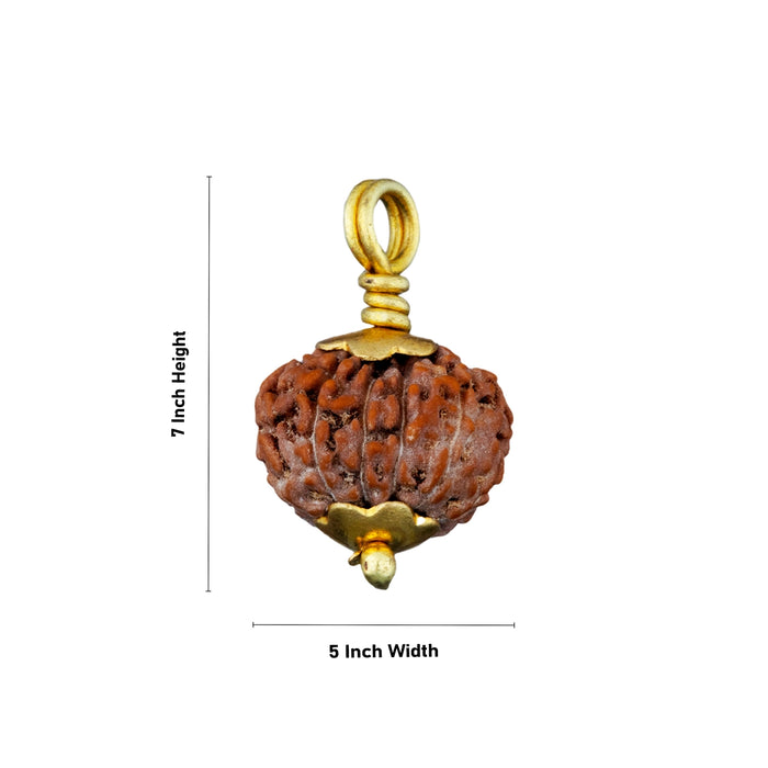 11 Face Rudraksha Pendant - 7 x 5 Inches | Golden Cup Rudraksha Bead/ Java Rudraksh Locket for Men & Women - Rudraksha Mala, Pendant, Bracelet