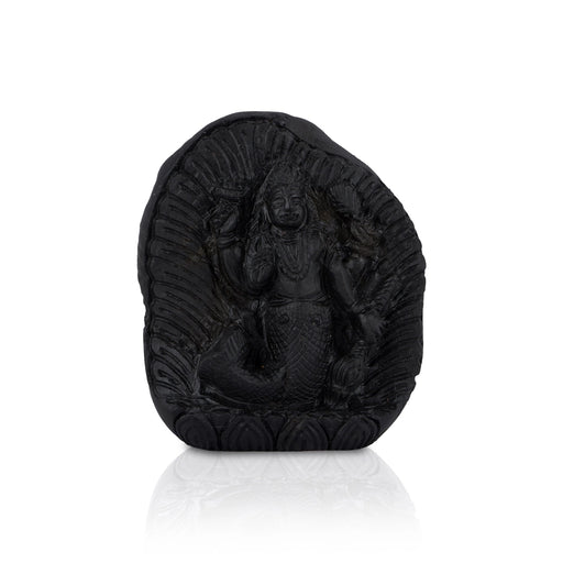 Matsya Shaligram Murti - 3.75 x 3 Inches | Saligram Murti/ Shaligram Shila Stone for Pooja - Saligrama Stones & Murties