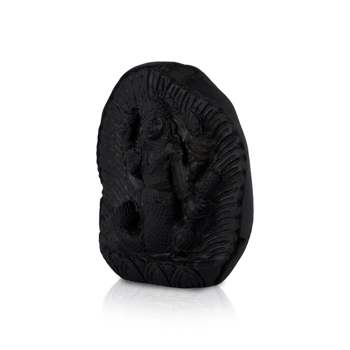 Matsya Shaligram Murti - 3.75 x 3 Inches | Saligram Murti/ Shaligram Shila Stone for Pooja - Saligrama Stones & Murties