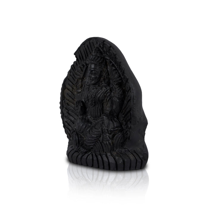 Mahalakshmi Shaligram Murti - 3.75 x 3 Inches | Laxmi Saligram Murti/ Shaligram Shila Stone for Pooja - Saligrama Stones & Murties