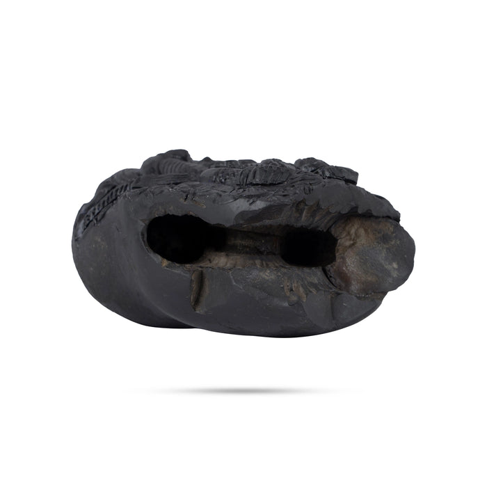 Garuda Sevai Shaligram Murti - 4.5 x 3.5 Inches | Saligram Murti/ Shaligram Shila Stone for Pooja - Saligrama Stones & Murties