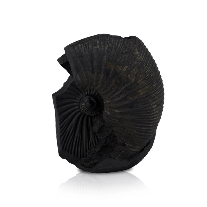 Vishnu Lakshmi Shaligram Murti - 4 x 3.5 Inches | Saligram Murti/ Shaligram Shila Stone for Pooja - Saligrama Stones & Murties