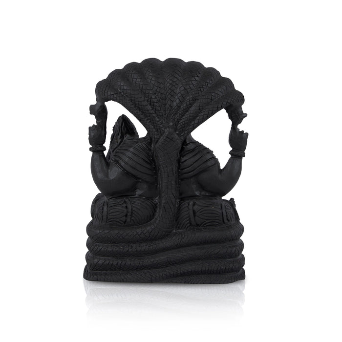 Lakshmi Narasimha With Sheshnag Shaligram Murti - 6.5 x 4.5 Inches | Saligram Murti for Pooja - Saligrama Stones & Murties