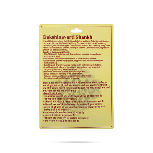 Right Hand Shankh | Dakshinavarti Shankh/ Valampuri Sangu/ Dakhinabarti Sankha For Wealth And Auspicious Vibes - Pooja Shankh