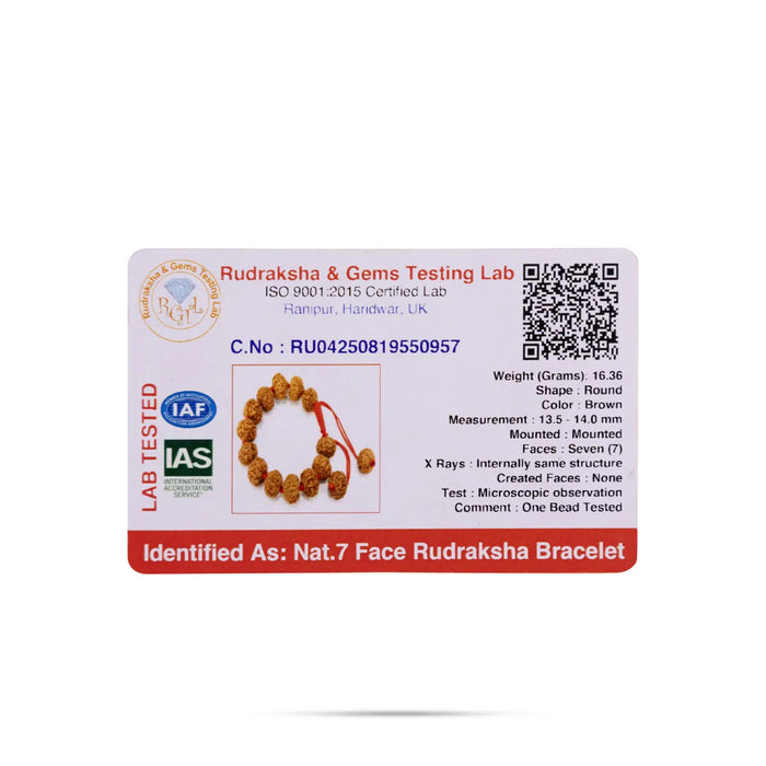 7 Mukhi Rudraksha Bracelet | 7 Face Rudraksh Hand Band/ 13.5-14mm/ Ruthratcham Bracelet For Spiritual Strength - Rudraksha Mala, Pendant, Bracelet