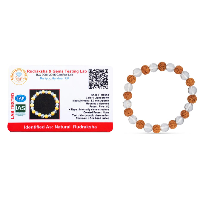 Rudraksha Sphatik Bracelet - 2.5 Inches | Rudraksha Hand Band/ Sphatik Rudraksha Bracelet for Men & Women - Rudraksha Mala, Pendant, Bracelet