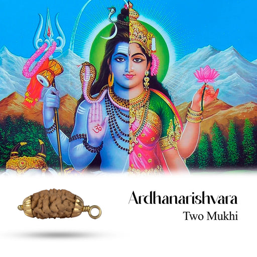 2 Face Rudraksha Bead Pendant | South Rudraksha Bead/ Golden Cup Rudraksha Locket for Men & Women - Rudraksha Mala, Pendant, Bracelet