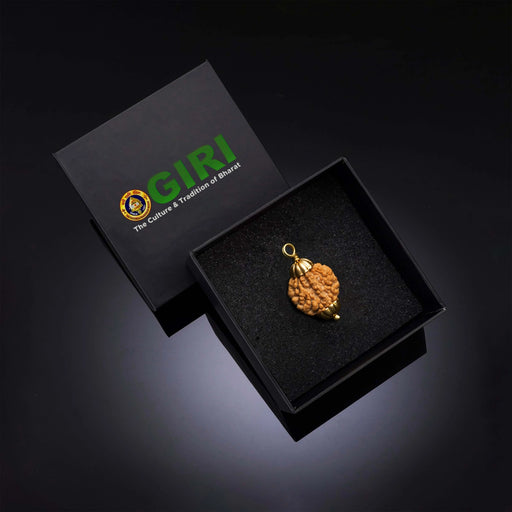 2 Face Rudraksha Bead Pendant | South Rudraksha Bead/ Golden Cup Rudraksha Locket for Men & Women - Rudraksha Mala, Pendant, Bracelet