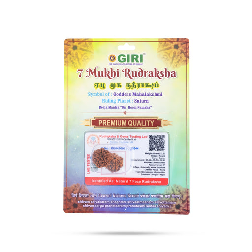 7 Face Rudraksha Bead | Seven Mukh Rudraksha / Seven Mukhi Rudraksha for Men & Women - Rudraksha Mala, Pendant, Bracelet