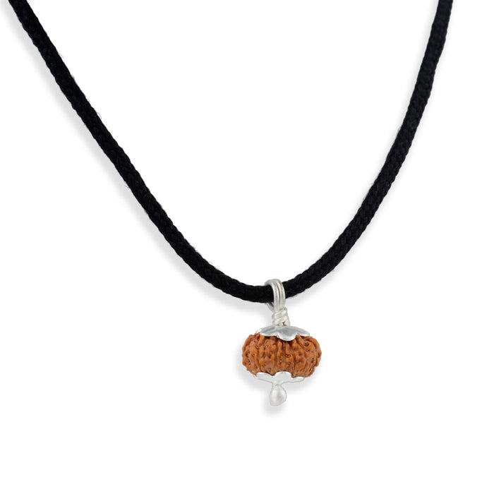 13 Face Java Rudraksha Pendant | Ruthratcham Dollar With cup / Rudraksh Locket For Spiritual Wear