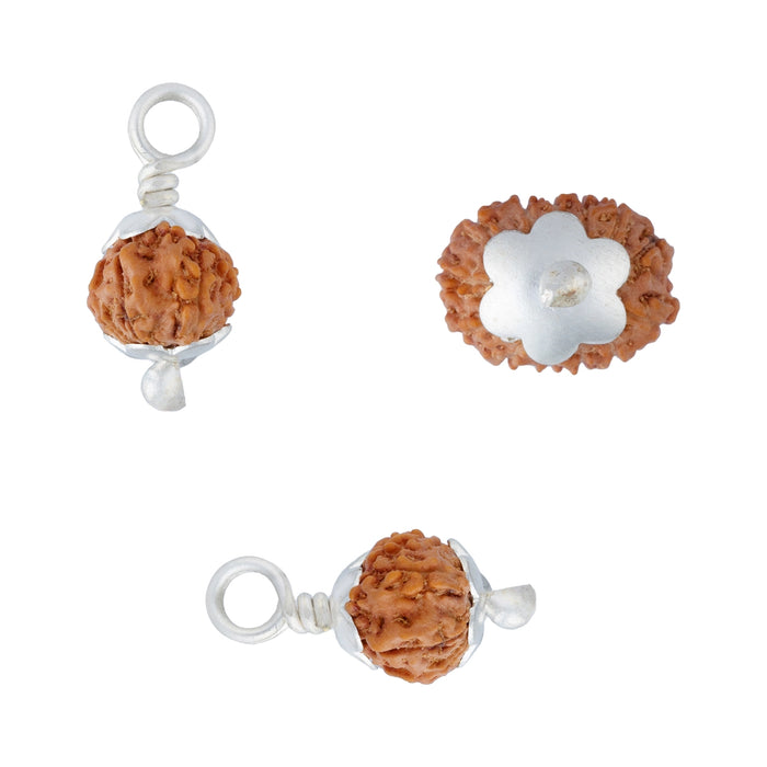 13 Face Java Rudraksha Pendant | Ruthratcham Dollar With cup / Rudraksh Locket For Spiritual Wear