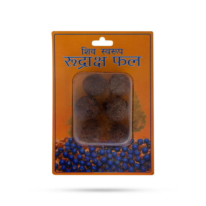 Rudraksha Fruit | Rudraksha Berries / Ruthratcham fruit / Rudraksha Bead Fruit - Rudraksha Mala, Pendant, Bracelet