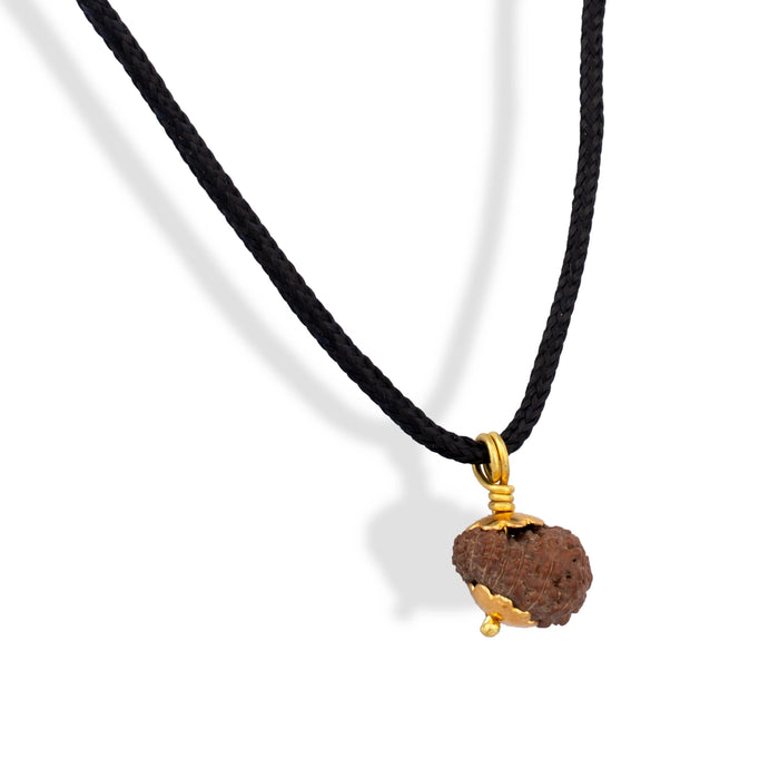 14 Mukhi Rudraksha Bead | Golden Cup Fourteen Mukhi Rudraksha/ Java Hanuman 14 Face Rudraksha for Men & Women - Rudraksha Mala, Pendant, Bracelet