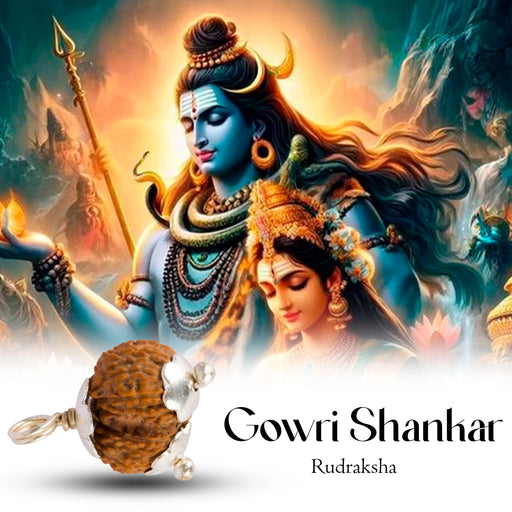 Gowri Shankar Rudraksha Pendant | Silver Cup Rudraksha Pendant/ Java Rudraksh Locket for Men & Women - Rudraksha Mala, Pendant, Bracelet