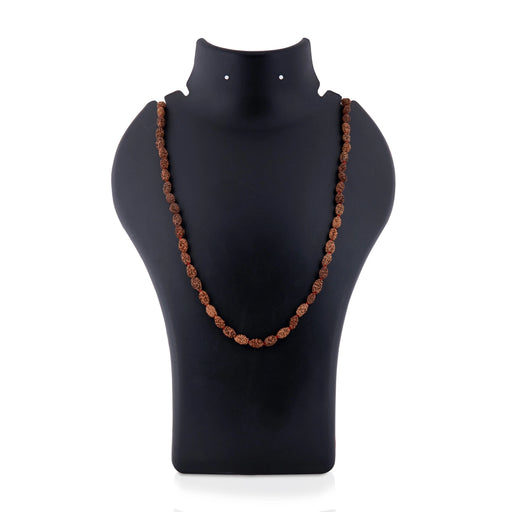 Rudraksha Mala | 2 Mukhi Ruthratcham Malai/ Java Rudraksha Mala Beads for Men & Women - Rudraksha Mala, Pendant, Bracelet