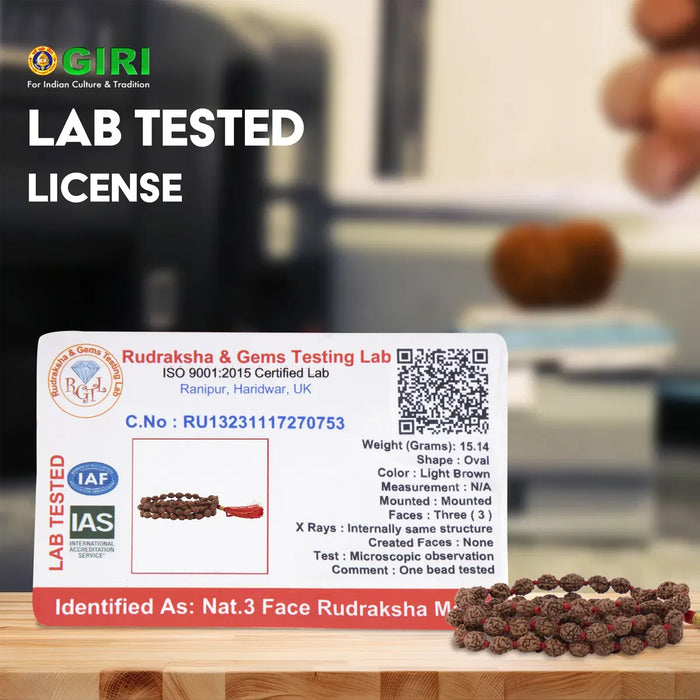 Giri - 3 Mukhi Rudraksha Mala | Original Ruthratcham Malai