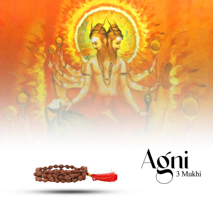 Giri - 3 Mukhi Rudraksha Mala | Original Ruthratcham Malai